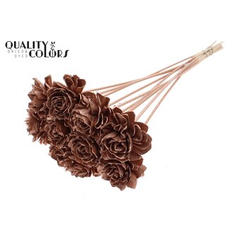 QC Shola Houten Dahlia op stok | Kleur: Koperkleurig | Shola Dhaliya Bijsteker | Diameter bloem 6 centimeter | Lengte ± 50 centimeter | 10 bijstekers per bos