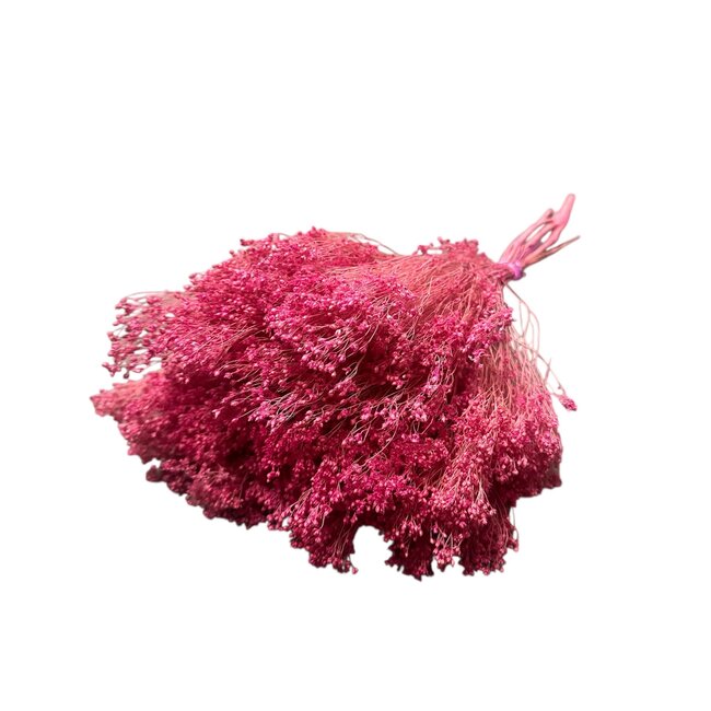 Broom Bloom | Pink | 125 gr | 55 cm
