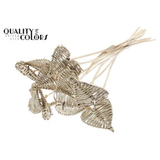 QC Rotan Lata Hart op stok | Kleur: Naturelle Bruin | Lata Heart platte Bijsteker | Diameter 8 centimeter | Lengte ± 50 centimeter | 10 bijstekers per bos