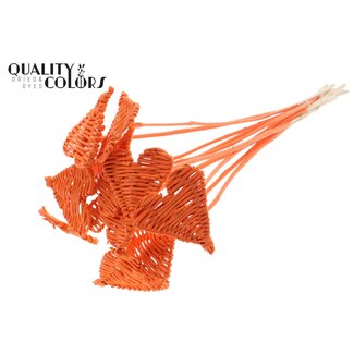 QC Rotan Lata Hart op stok | Kleur: Oranje | Lata Heart platte Bijsteker | Diameter 8 centimeter | Lengte ± 50 centimeter | 10 bijstekers per bos