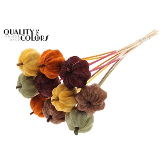 QC Velvet Pumpkin on Stick | Pumpkin Spice | Colour: Mixed Colours | Pumpkin Pick | Pumpkin Diameter 6 centimetres | Length ± 50 centimetres | 10 picks per bunch