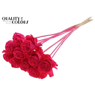 QC Shola Houten Dahlia op stok | Kleur: Kerskleurig | Shola Dhaliya Bijsteker | Diameter bloem 6 centimeter | Lengte ± 50 centimeter | 10 bijstekers per bos