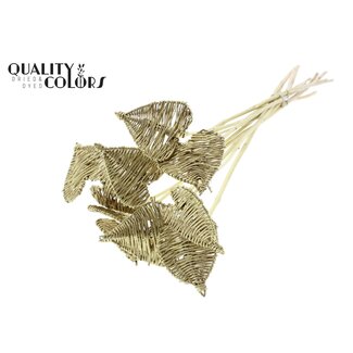 QC Rotan Lata Hart op stok | Kleur: Goudkleurig | Lata Heart platte Bijsteker | Diameter 8 centimeter | Lengte ± 50 centimeter | 10 bijstekers per bos