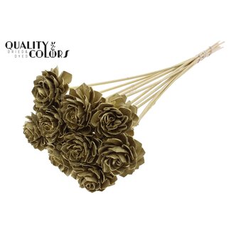 QC Shola Houten Dahlia op stok | Kleur: Goudkleurig | Shola Dhaliya Bijsteker | Diameter bloem 6 centimeter | Lengte ± 50 centimeter | 10 bijstekers per bos