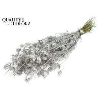 QC Gedroogd Juffertje-in-het-groen | Kleur: Platinakleurig | Nigella Droogbloemen | Lengte ± 45 centimeter | Gewicht 150 gram | Per bos