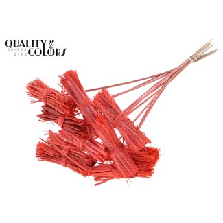 QC Lady Boeketje op stok | Kleur: Koraalkleurig | Lady Posy Bijsteker | Lengte ± 50 centimeter | 10 bijstekers per bos
