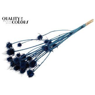 QC Gebleekte Gedroogde Distels | Kleur: Donkerblauw | Cardistella Droogbloemen | Lengte ± 70 centimeter | 5 takken per bos