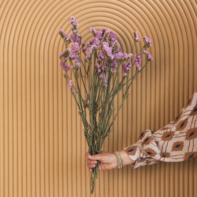 Lichtroze Statice Sinuata droogbloemen | Lengte ± 70 centimeter | Gewicht ± 75 gram
