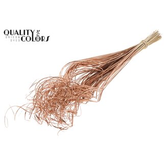 QC Palm Curly TT 100pc per bunch Copper