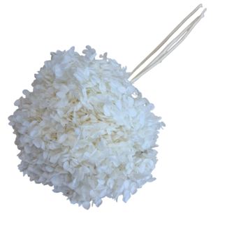 Casa Alegria White Snow Hydrangea | White Preserved Hydrangea | Length ± 60 centimetres | Per piece