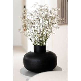 Dutch Dried Gypsophile blanche naturelle séchée | Gypsophile séchée | Longueur ± 65 centimètres | Par 5 tiges