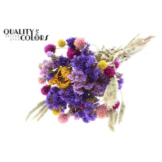 QC Boeket Droogbloemen Kleurrijk 2 | Kleur: Gemengde Kleuren | Lengte ± 30 centimeter | Per 8 boeketten