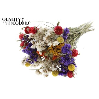 QC Boeket Droogbloemen Kleurrijk 5 | Kleur: Gemengde Kleuren | Lengte ± 30 centimeter | Per 8 boeketten