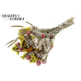 QC Boeket Droogbloemen Kleurrijk 1 | Kleur: Gemengde Kleuren | Lengte ± 30 centimeter | Per 8 boeketten