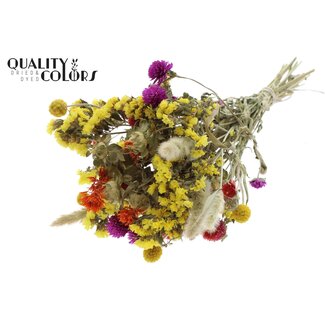 QC Boeket Droogbloemen Kleurrijk 3 | Kleur: Gemengde Kleuren | Lengte ± 30 centimeter | Per 8 boeketten