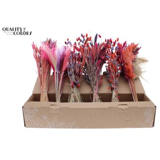 QC Gemengde Gedroogde Bloemen | Kleuren Mix 9 | Kleur: Gemengde Kleuren | Droogbloemen Mix | Lengte ± 60 centimeter | Per 6 bossen