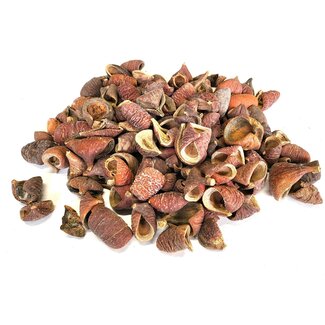 QC Gedroogde Lansunia blaadjes | Kleur: Naturelle | Lansunia Droogdeco | Gewicht 500 gram per zak | Per 4 zakken