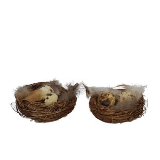 4A Nest met 2 Kwarteleieren | Kleur: Wit Bruin | Diameter 7 centimeter | Per 12 nestjes