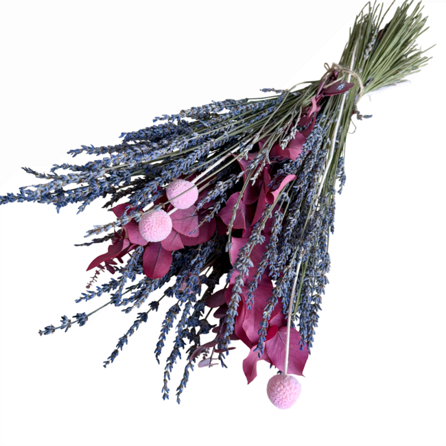Trockenblumenstrauß "Speziell für dich" | Länge ± 35 Zentimeter | Mit getrocknetem Eukalyptus, Lavendel und rosa Craspedia