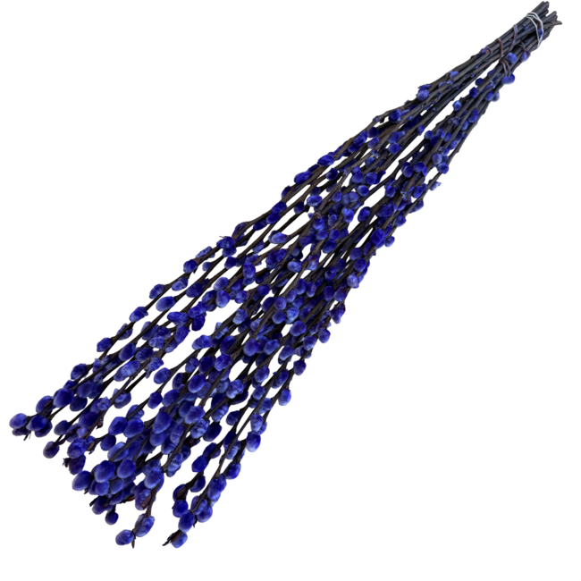 Lila Salix Weidenkätzchen Trockenblumen | Länge ± 70 Zentimeter | Pro 20 Zweige