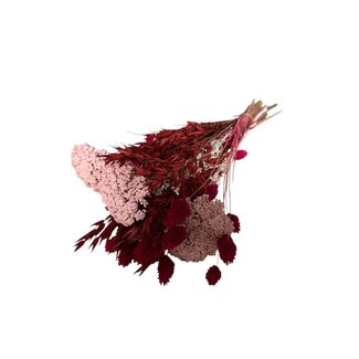 Dutch Dried Trockenblumenstrauß "Layla" | Länge ± 50 Zentimeter | Mit rosa und roten Trockenblumen