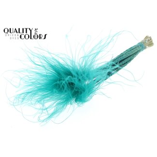 QC Dried Stipa Feather Grass | Colour: Turquoise | Stypha Penata Dried Flowers | Length ± 60 centimetres | 10 plumes per bunch | Per bunch