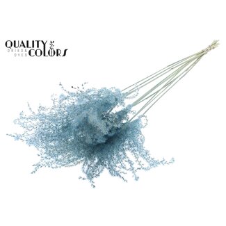 QC Getrocknetes Chinaschilf | Farbe: Hellblau | Miscanthus Trockenblumen | Länge ± 70 Zentimeter | 5 Zweige pro Bund | Pro Bund