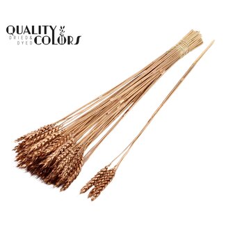 QC Gedroogde Tarwe | Kleur: Antiek Goudkleurig | Triticum Droogbloemen | Lengte ± 55 centimeter | 3 toefjes per tak | Per 25 takken