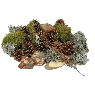 4A Dried Deco Mix Forrest | Colour: Mixed Colours | Weight 500 grams | Per bag