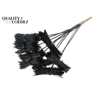 QC Lady Boeketje op stok | Kleur: Zwart | Lady Posy Bijsteker | Lengte ± 50 centimeter | 10 bijstekers per bos | Per bos