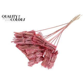 QC Lady Posy on a stick | Colour: Frosted Light Pink | Lady Posy Plant Stake | Length ± 50 centimetres | 10 stakes per bunch | Per bunch