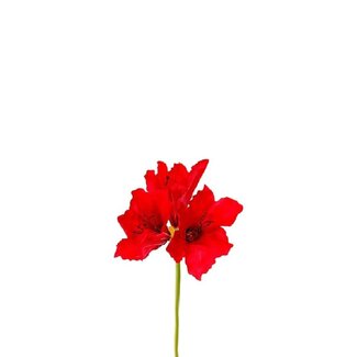 4A Amaryllis Artificial Flower | Colour: Red | Hippeastrum artificial flowers | Length ± 65 centimetres | Per 12 artificial flowers