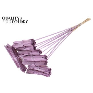 QC Kore Bouquet on Stick | Colour: Metallic Pink | Length of stick approx. 50 centimetres | 10 sticks per bunch | Per bunch