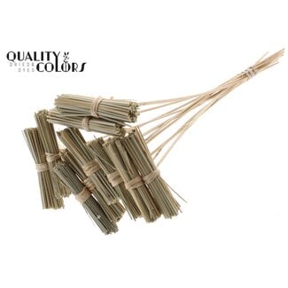 QC Kore Boeketje op stok | Kleur: Naturelle Bruin Groen | Lengte bijsteker ± 50 centimeter | 10 bijstekers per bos | Per bos