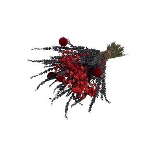 MyFlowers Bouquet of dried flowers "Especially for you" | Length ± 45 centimetres | With red Gypsophila, Lavender and red Craspedias