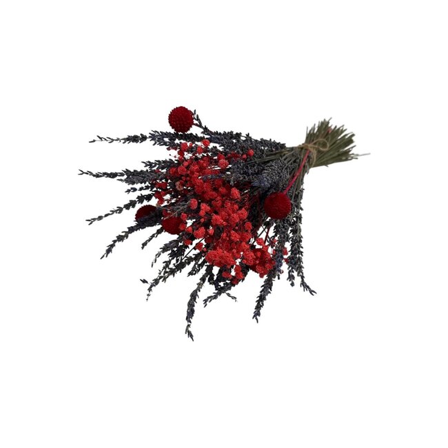 Bouquet of dried flowers "Especially for you" | Length ± 45 centimetres | With red Gypsophila, Lavender and red Craspedias