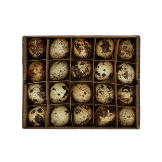 4A Quail Egg | Colour: Cream-coloured | Width 2 centimetres | Length 3 centimetres | Per 60 eggs