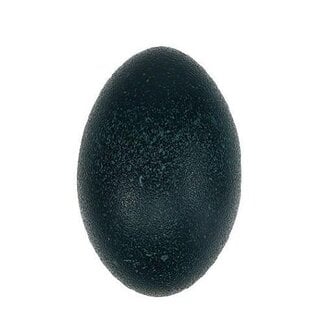 4A Plastic Emu Egg | Colour: Dark Green | Length 14 centimetres | Per 12 eggs