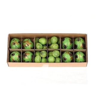 4A Kippeneieren (8x) en Kwarteleieren (24x) Mix | Kleur: Groen | Per set