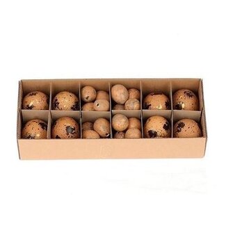 4A Chicken Eggs (8x) and Quail Eggs (24x) Mix | Colour: Brown | Per set