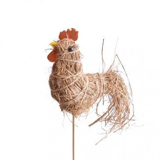 4A Rooster Pick | Colour: Light Brown | Pick length ± 50 centimetres | Rooster height 8 centimetres | Per 25 picks
