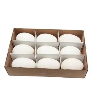 4A Goose eggs | Colour: Natural White | Diameter 5.5 centimetres | Height 9 centimetres | Per 9 eggs