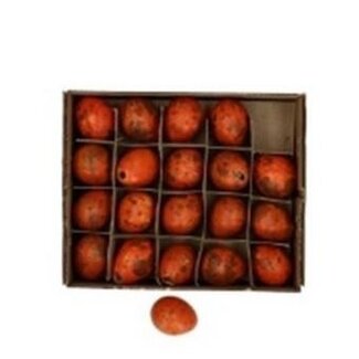 4A Wachteleier | Farbe: Orange | Durchmesser 2 Zentimeter | Höhe 3 Zentimeter | Pro 24 Eier