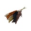 Autumn mix dried Pampas plumes | Length ± 70 centimetres | Per 10 stems