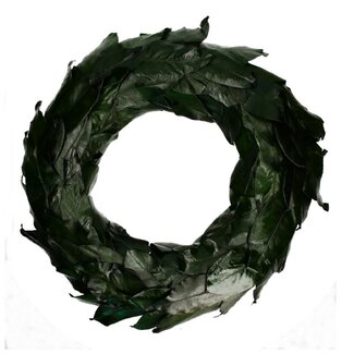 4A Magnoliablad Krans | Kleur: Donkergroen | Diameter 70 centimeter | Per krans