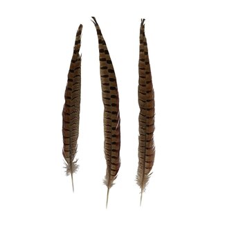 4A Pheasant Feathers | Colour: Brown | Length ± 30 - 35 centimetres | Per 2 feathers