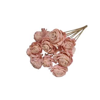 Dutch Dried Rosa Shola Beauty Rose | Stiellänge ± 50 Zentimeter | Pro 10 Einstecker