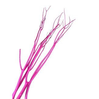 Casa Alegria Mitsumata Yanagi stems | Pink | 115 cm | Per 3 stems