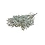 Natural White Limonium Diamond dried flowers | Length ± 70 centimetres | Weight ± 100 grams