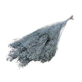 Dutch Dried Grauer Nebel Besenblüte Trockenblumen | Länge ± 55 Zentimeter | Gewicht 100 Gramm
